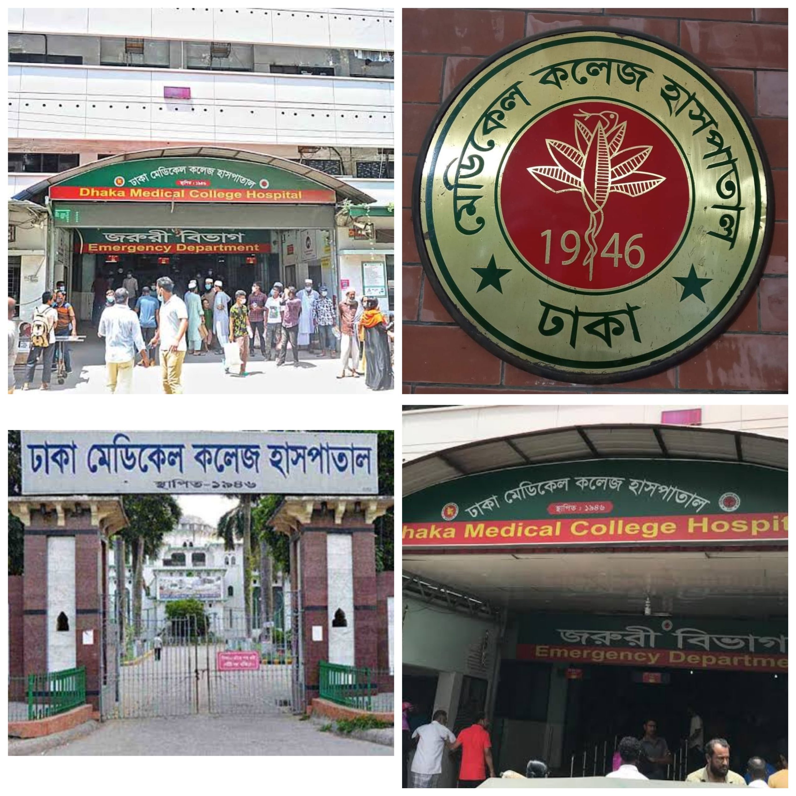 রাজধানীতে ছেলের সঙ্গে অভিমান করে মা’র আত্মহত্যা