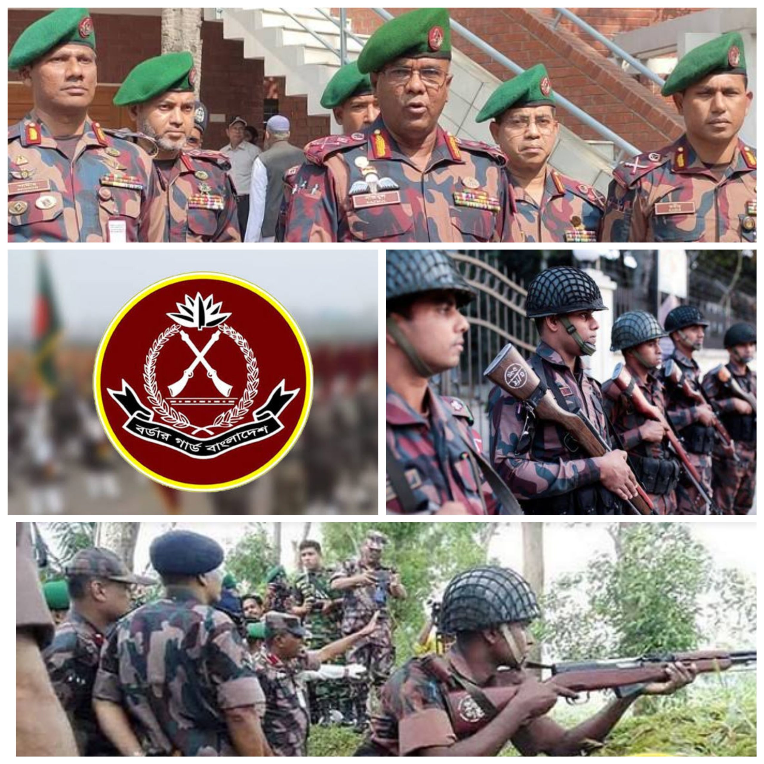 আগস্ট মাসে ২১৫ কোটি টাকার বেশী চোরাচালান পণ্য জব্দ করেছে বিজিবি